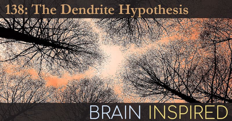 Brain Inspired podcast cover art