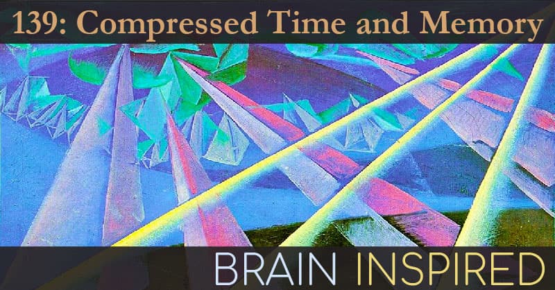 Brain Inspired podcast cover art