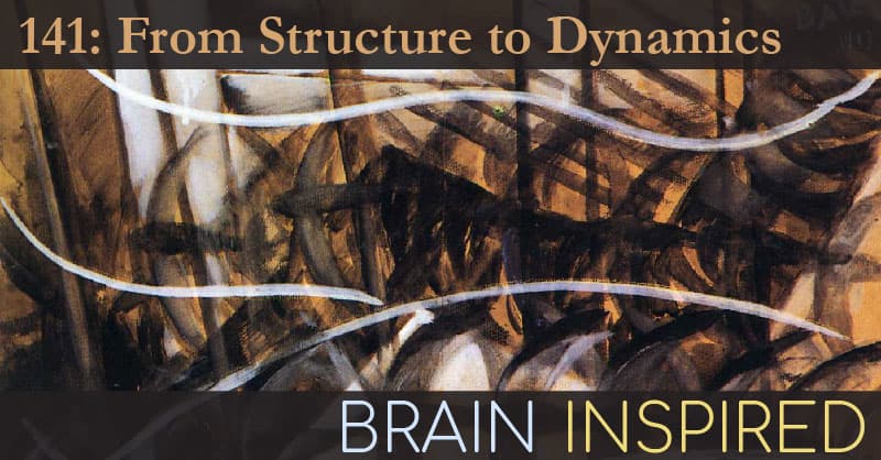 Brain Inspired podcast cover art