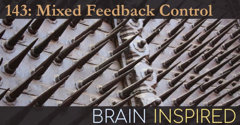 Brain Inspired podcast cover art