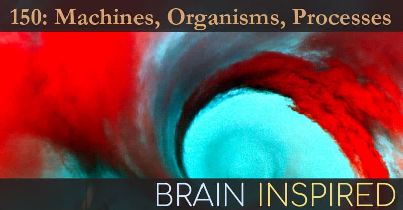 Brain Inspired podcast cover art