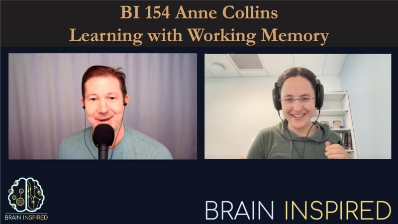 Brain Inspired podcast cover art