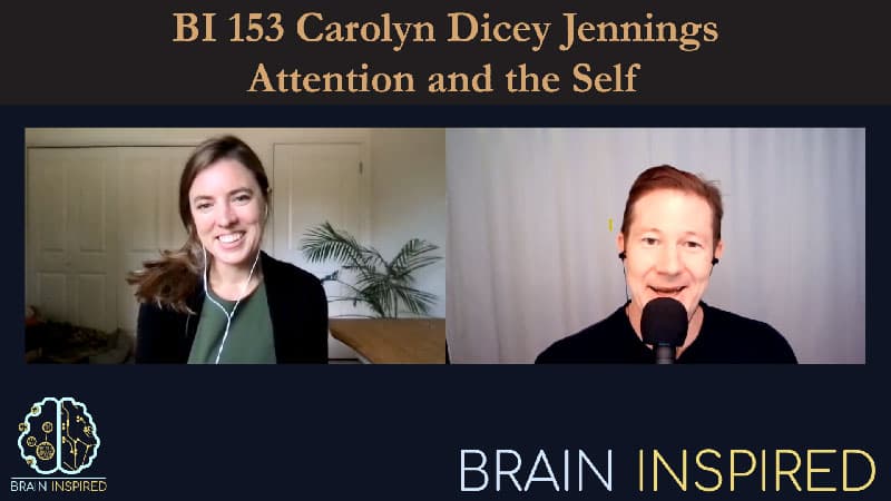 Brain Inspired podcast cover art
