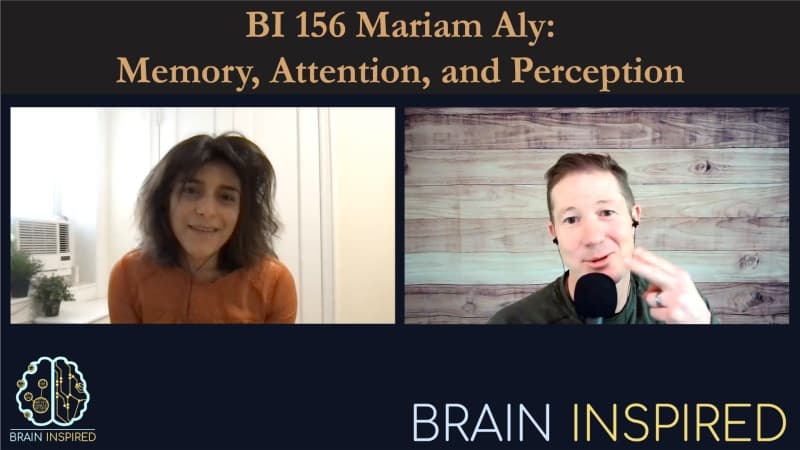Brain Inspired podcast cover art