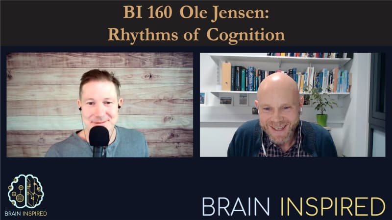 Brain Inspired podcast cover art