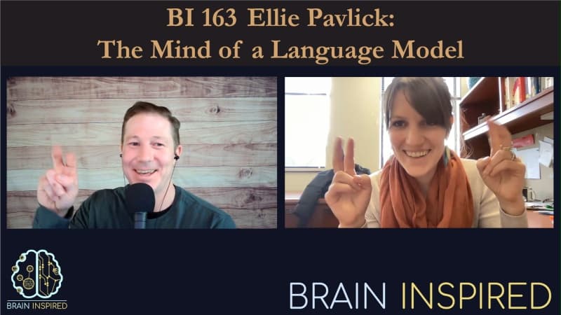 Brain Inspired podcast cover art