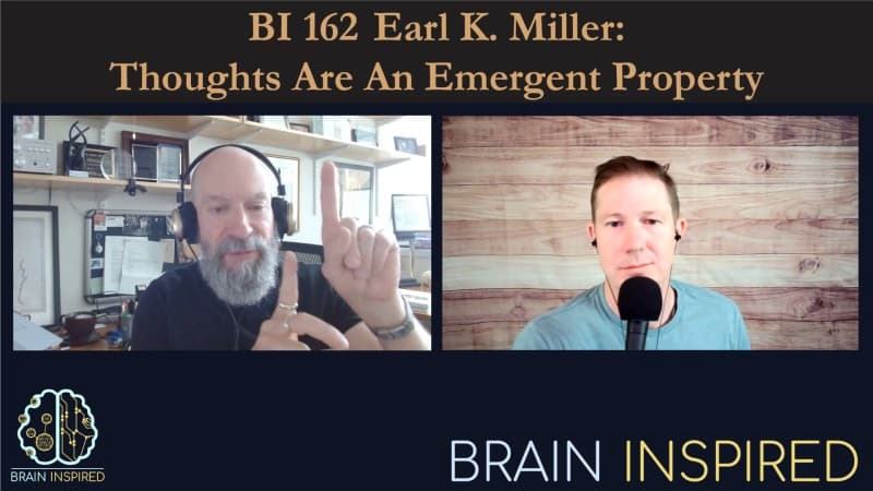 Brain Inspired podcast cover art