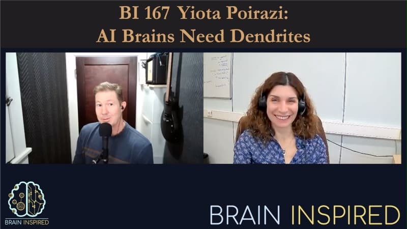 Brain Inspired podcast cover art