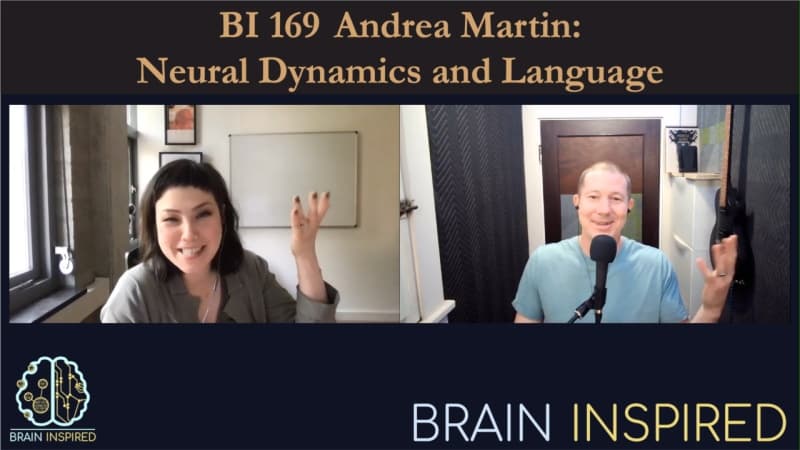Brain Inspired podcast cover art