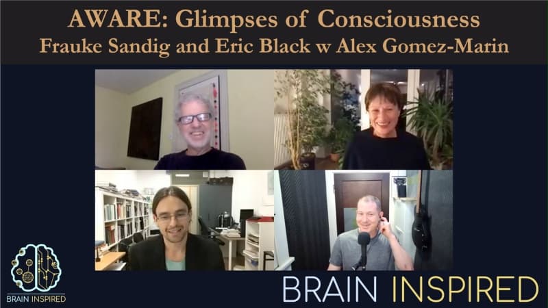 Brain Inspired podcast cover art