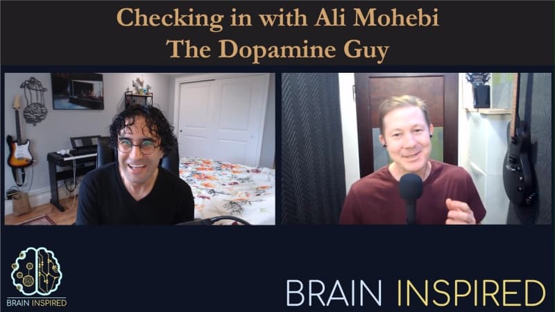 Brain Inspired podcast cover art