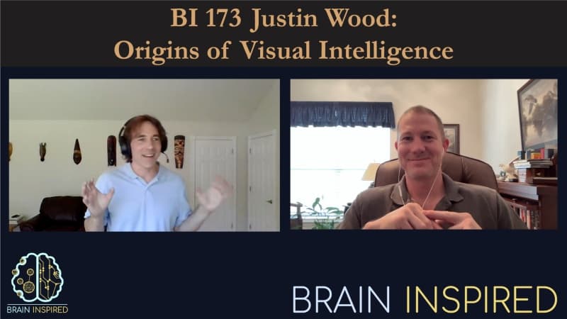 Brain Inspired podcast cover art