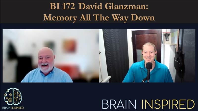 Brain Inspired podcast cover art