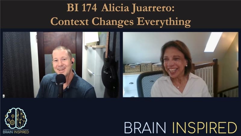 Brain Inspired podcast cover art