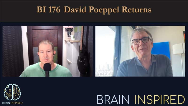Brain Inspired podcast cover art