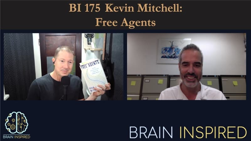 Brain Inspired podcast cover art