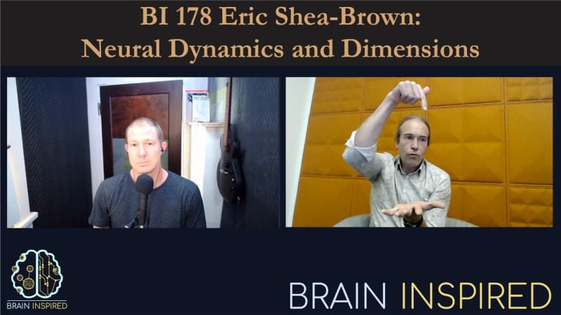Brain Inspired podcast cover art