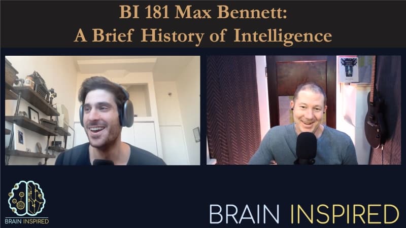 Brain Inspired podcast cover art