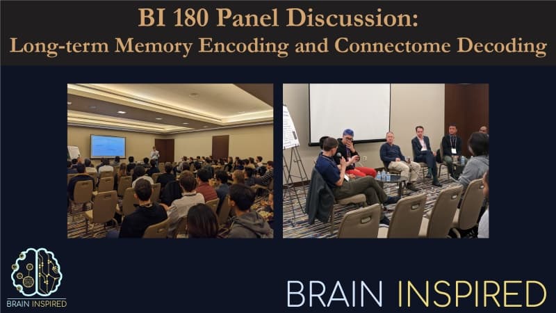 Brain Inspired podcast cover art