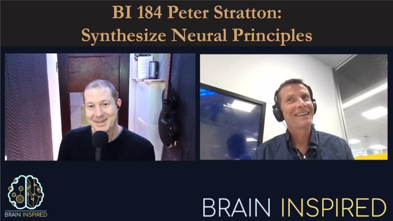 Brain Inspired podcast cover art