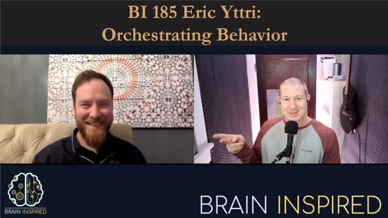 Brain Inspired podcast cover art