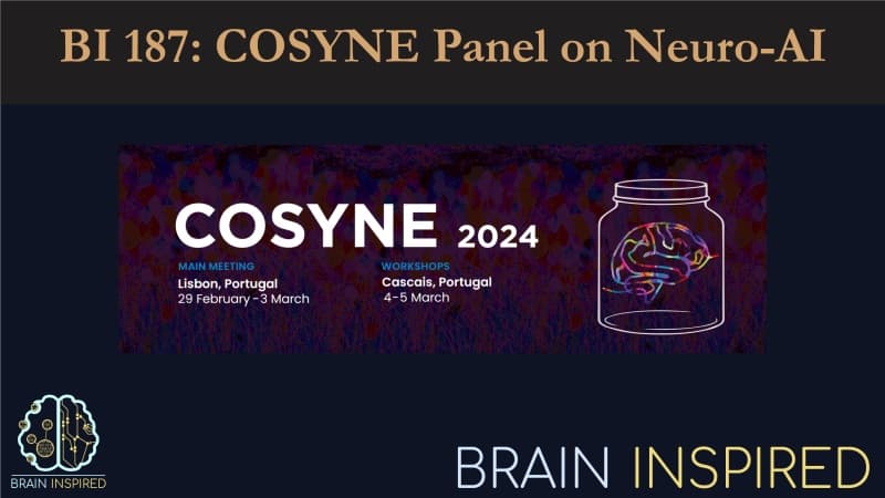 Brain Inspired podcast cover art