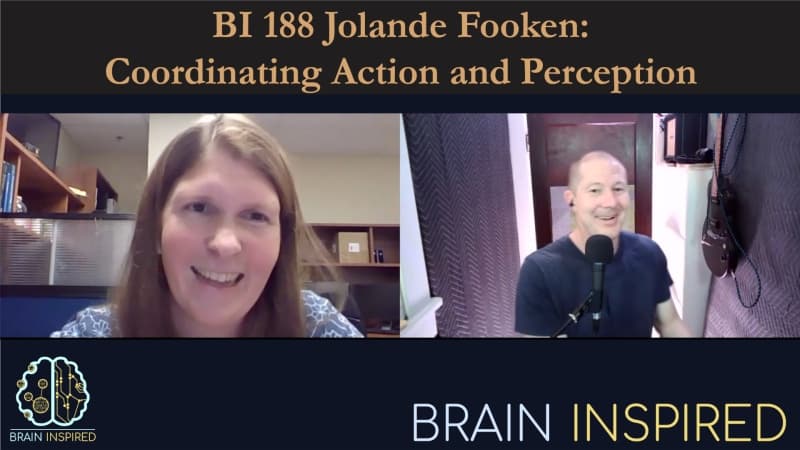 Brain Inspired podcast cover art