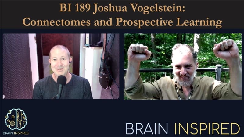 Brain Inspired podcast cover art