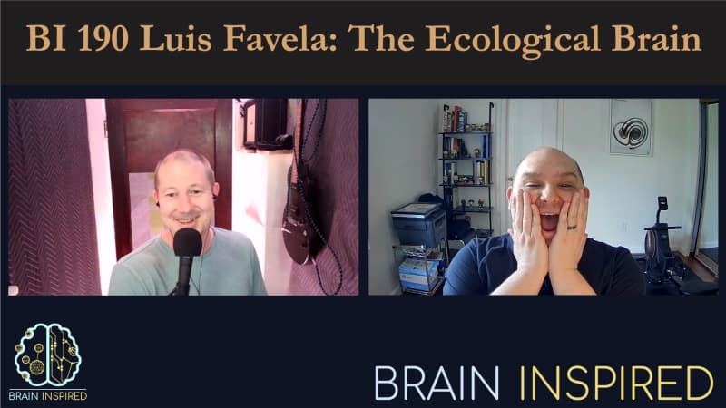 Brain Inspired podcast cover art