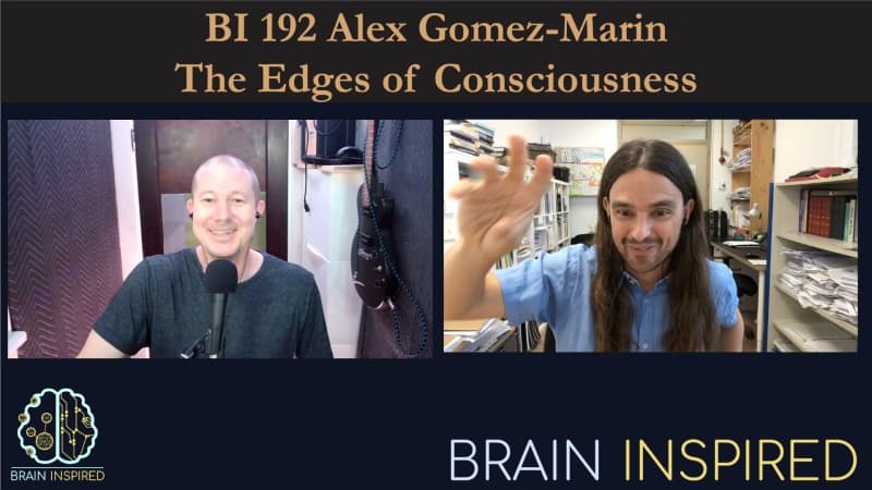 Brain Inspired podcast cover art