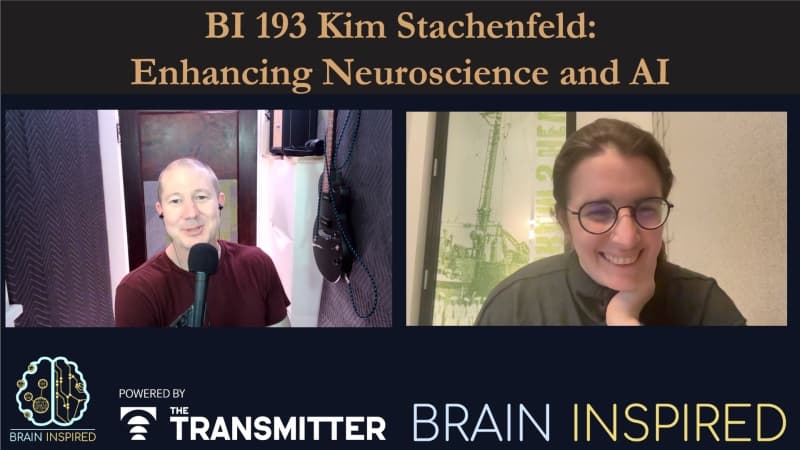 Brain Inspired podcast cover art