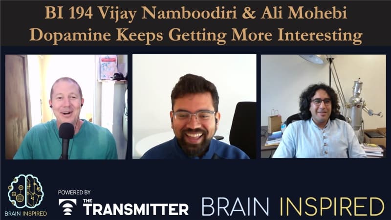 Brain Inspired podcast cover art