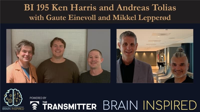 Brain Inspired podcast cover art