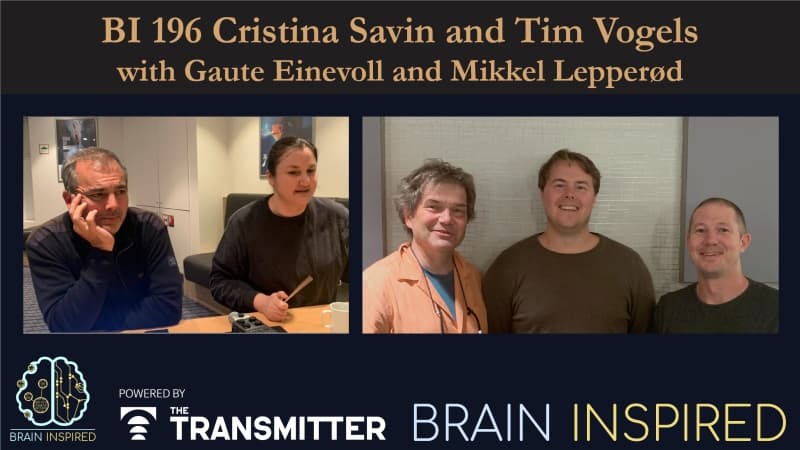 Brain Inspired podcast cover art