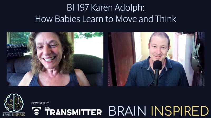 Brain Inspired podcast cover art