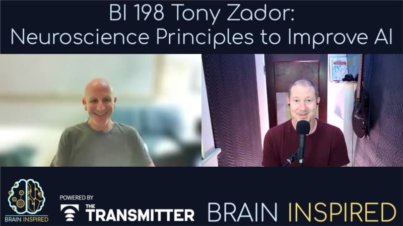 Brain Inspired podcast cover art