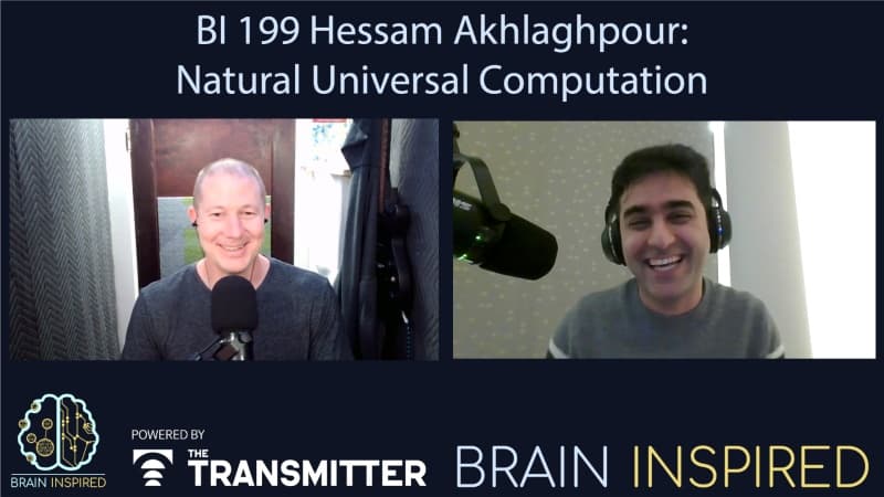 Brain Inspired podcast cover art