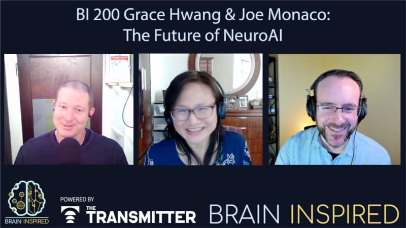 Brain Inspired podcast cover art