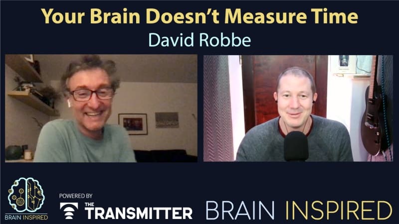 Brain Inspired podcast cover art