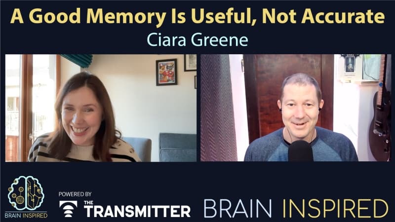 Brain Inspired podcast cover art