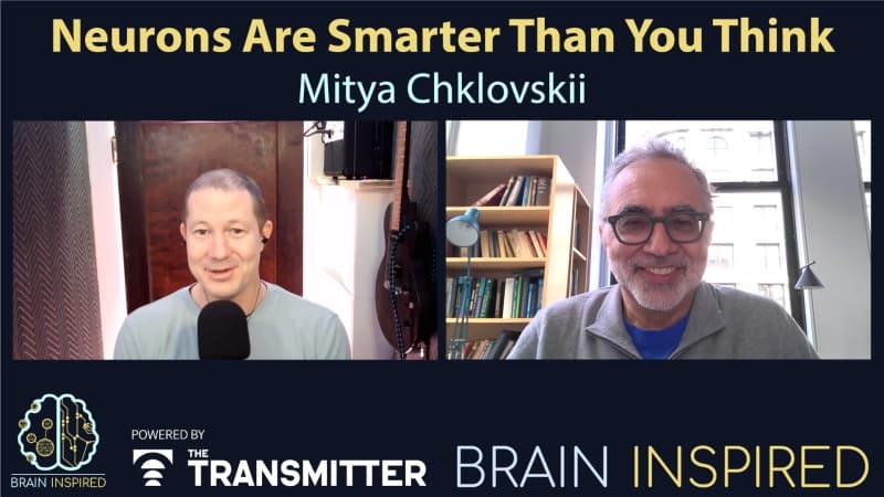 Brain Inspired podcast cover art