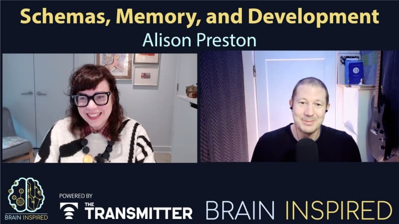 Brain Inspired podcast cover art