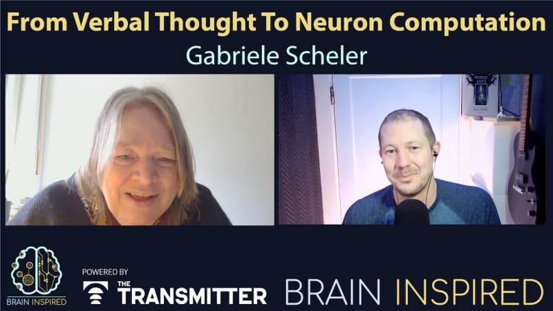 Brain Inspired podcast cover art