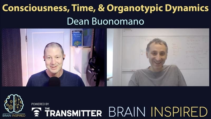 Brain Inspired podcast cover art