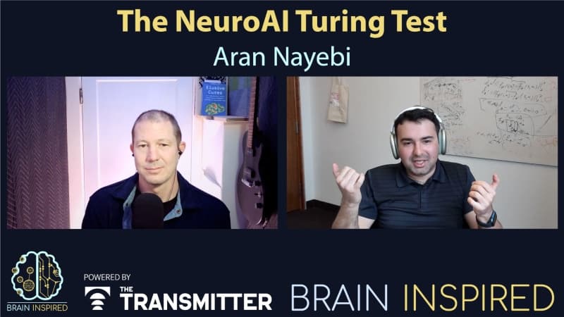 Brain Inspired podcast cover art