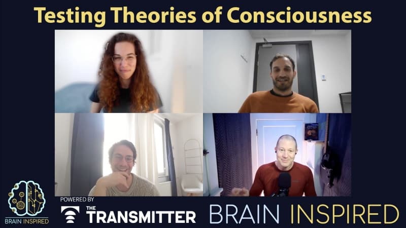 Brain Inspired podcast cover art
