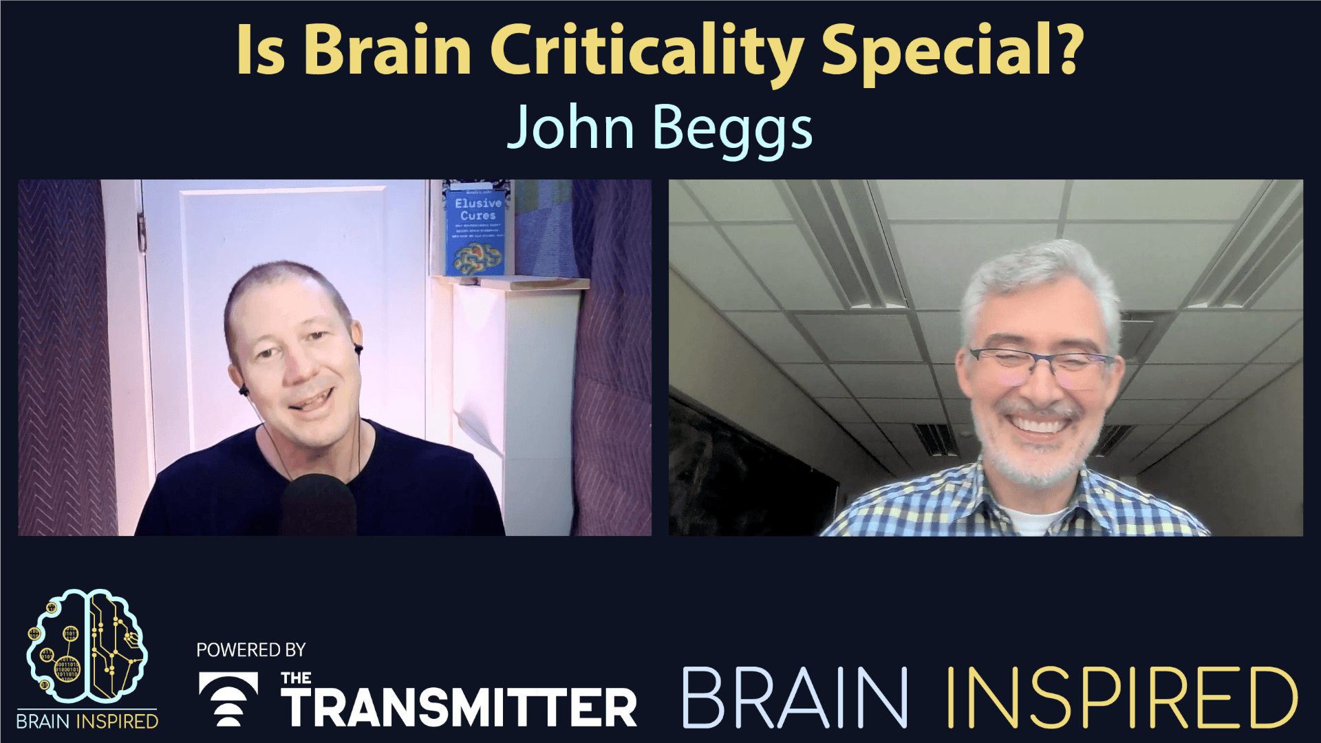 Brain Inspired podcast cover art