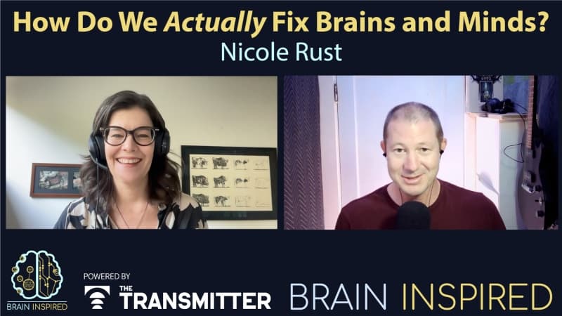 Brain Inspired podcast cover art