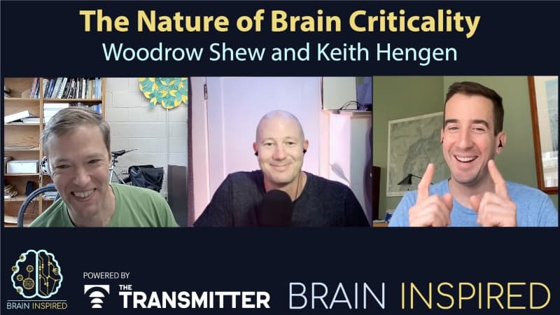 Brain Inspired podcast cover art