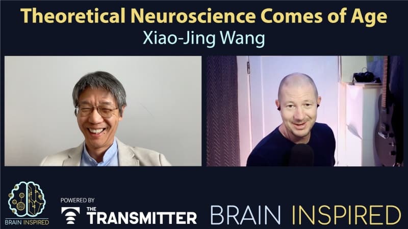 Brain Inspired podcast cover art